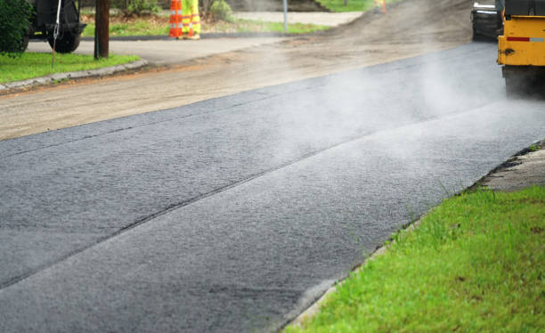 Best Custom Driveway Pavers  in Woodstown, NJ